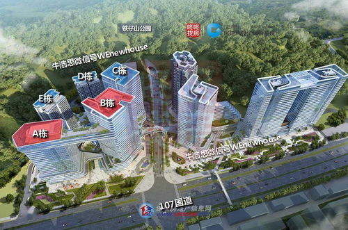 深圳新盤開發商破產重整警示錄 投資興辦實業的風險與應對